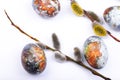 Easter background flat lay with branches pussy willows and colorful painted eggs on white Royalty Free Stock Photo