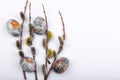 Easter background flat lay with branches pussy willows and colorful painted eggs on white Royalty Free Stock Photo