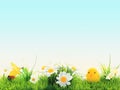 Easter background, cheerful flowers, Easter green and blue with yellow, Concept, screen, postcard, wallpaper, fresh and cheerful,