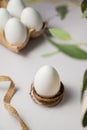 Easter background. Green eucalyptus, white egg in a nest. Spring time. Minimalistic Royalty Free Stock Photo