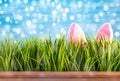 Easter background with green grass and bunnie ears