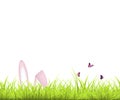 Easter Background. Green grass and Easter egg, and bunny, butterfly. Easter bunny ears in the grass. vector illustration Royalty Free Stock Photo