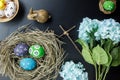 Easter background.Happy easter eggs pained also rabbin Royalty Free Stock Photo