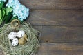 Easter background.Happy easter eggs pained also rabbin Royalty Free Stock Photo