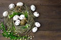 Easter background.Happy easter eggs pained also rabbin Royalty Free Stock Photo