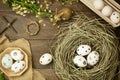 easter background.Happy easter eggs pained also rabbin Royalty Free Stock Photo