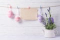 Easter background with Lavender flowers in watering can, pink easter eggs and blank card hanging on a rope, wooden background Royalty Free Stock Photo