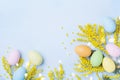 Easter background with mimosa flower and colorful eggs. Spring greeting card. Space for text.