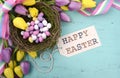 Easter background with painted Easter eggs in birds nest Royalty Free Stock Photo