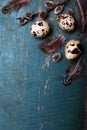 Easter background with quail eggs, feathers and catkins on blue rustic wooden background Royalty Free Stock Photo