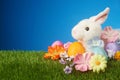 Easter background with rabbit, flowers, and colorful egg