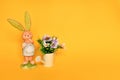 Easter background with small lovely rabit standing and colorful plastic flower in watering can on yellow background, decorate and Royalty Free Stock Photo