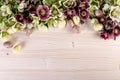 Easter background with spring flowers of hellebore lenten roses over light wood. Top view, copy space Royalty Free Stock Photo