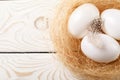 Easter background. Easter white eggs and feather in nest on rustic white wooden background. Top view, copy space Royalty Free Stock Photo