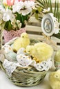 Easter background with a wicker basket full of eggs and yellow chickens on the table Royalty Free Stock Photo