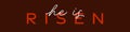 He is risen text banner, Easter typography lettering quote Royalty Free Stock Photo