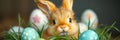 Easter banner with close up of cute ginger bunny and eggs