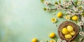 easter banner,a composition of a wicker basket,delicate branches of a flowering apple tree, and yellow-colored eggs on a light