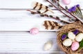 Easter banner with nest, eggs, willow, flowers and feathers Royalty Free Stock Photo