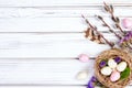 Easter banner with nest, eggs, willow, flowers and feathers Royalty Free Stock Photo