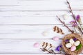 Easter banner with nest, eggs, willow, flowers and feathers Royalty Free Stock Photo