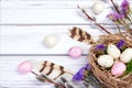 Easter banner with nest, eggs, willow, flowers and feathers Royalty Free Stock Photo