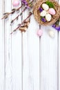 Easter banner with nest, eggs, willow, flowers and feathers Royalty Free Stock Photo