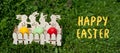 Easter banner with text Happy Easter in English. wooden egg cup with painted Easter eggs standing on green grass Royalty Free Stock Photo
