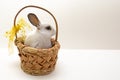 Easter composition. Small rabbit in wicker basket.