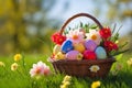 Colorful easter eggs in a basket on green grass with flowers Royalty Free Stock Photo