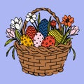 Easter Basket with Colorful Eggs and Spring Flowers Royalty Free Stock Photo