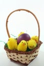 Easter basket with Easter egg and chicks Royalty Free Stock Photo