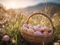 Easter basket with eggs outdoors Royalty Free Stock Photo