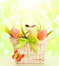 Easter Basket Eggs, Spring Objects Decorated by Grass Bird Butte Royalty Free Stock Photo