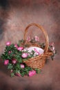 Easter Basket Floral Fantasy Studio Set (Insert Isolated Client) Royalty Free Stock Photo