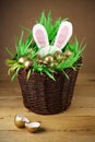 Easter basket, golden eggs. Royalty Free Stock Photo