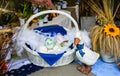 Easter basket with goose down Royalty Free Stock Photo