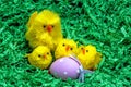 Easter basket Royalty Free Stock Photo
