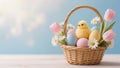 Easter basket with pastel eggs, yellow chick, daisies and tulips on blue background. Bright and cheerful spring composition Royalty Free Stock Photo