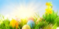 Easter. Beautiful colorful eggs in spring grass meadow over blue sky with sun border design