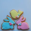 Easter bird and bunny festive sweet gingerbread cupcake, cookies.