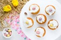 Easter birds nest cupcakes Royalty Free Stock Photo