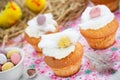 Easter birds nest cupcakes Royalty Free Stock Photo