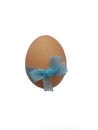 Brown egg with blue bowknot on white background.