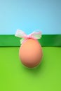 Brown egg with pink bowknot on green and blue background.