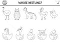Easter black and white matching activity for children with birds and eggs. Fun outline spring puzzle with hatching nestlings and