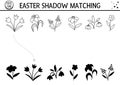 Easter black and white shadow matching activity for children. Outline spring puzzle with cute first flowers. Holiday celebration