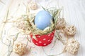 Easter blue egg Royalty Free Stock Photo