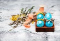 Easter blue eggs with wreaths of spring flowers. Royalty Free Stock Photo