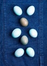 Easter boiled eggs as bunny symbol on blue